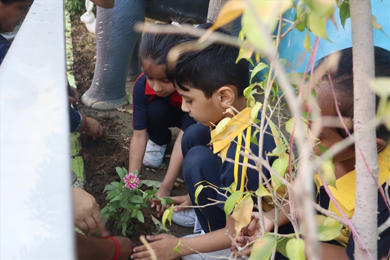 ACTIVITIES TOWARD A GREEN EARTH AND A CLEAN EARTH