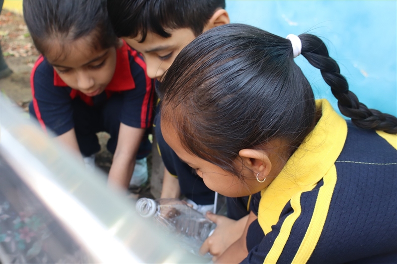 ACTIVITIES TOWARD A GREEN EARTH AND A CLEAN EARTH