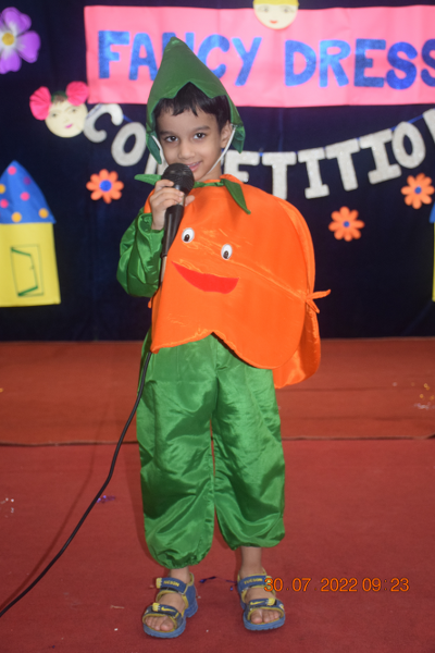 Custard apple (Sharifa) Fruit Fancy Dress Kids Costume – 30401 – Fancy Dress  Store in Gaur City, School Function Costumes at best prices/ Rental